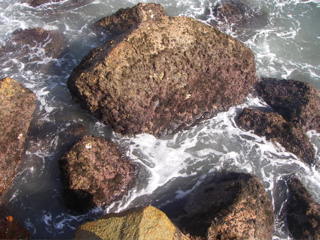 IMGP2172.JPG