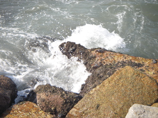 IMGP2173.JPG