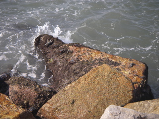 IMGP2174.JPG
