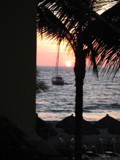 IMG_3903.JPG