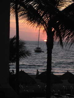 IMG_3905.JPG