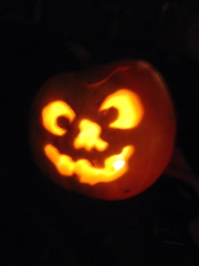 IMG_1862.JPG