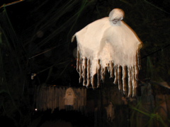 IMG_1757.JPG