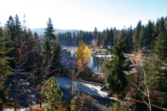 IMG_4001.JPG