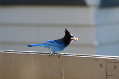 IMG_3998.JPG