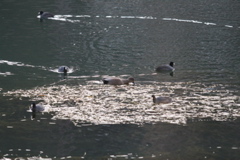 IMG_4014.JPG