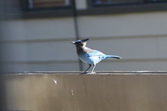 IMG_3999.JPG