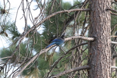 IMG_3996.JPG