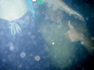 IMGP1108.JPG