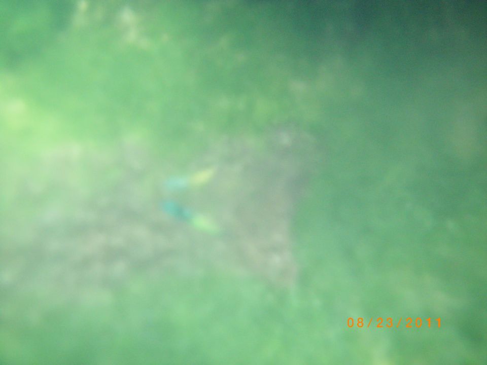 IMGP0686