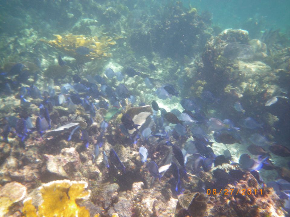 IMGP0964