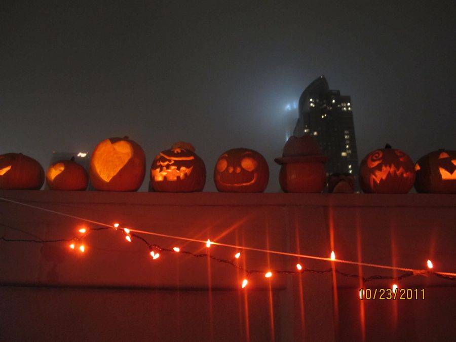 IMG_4868